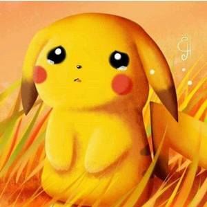 Meet your Posher, Manpreetkaur